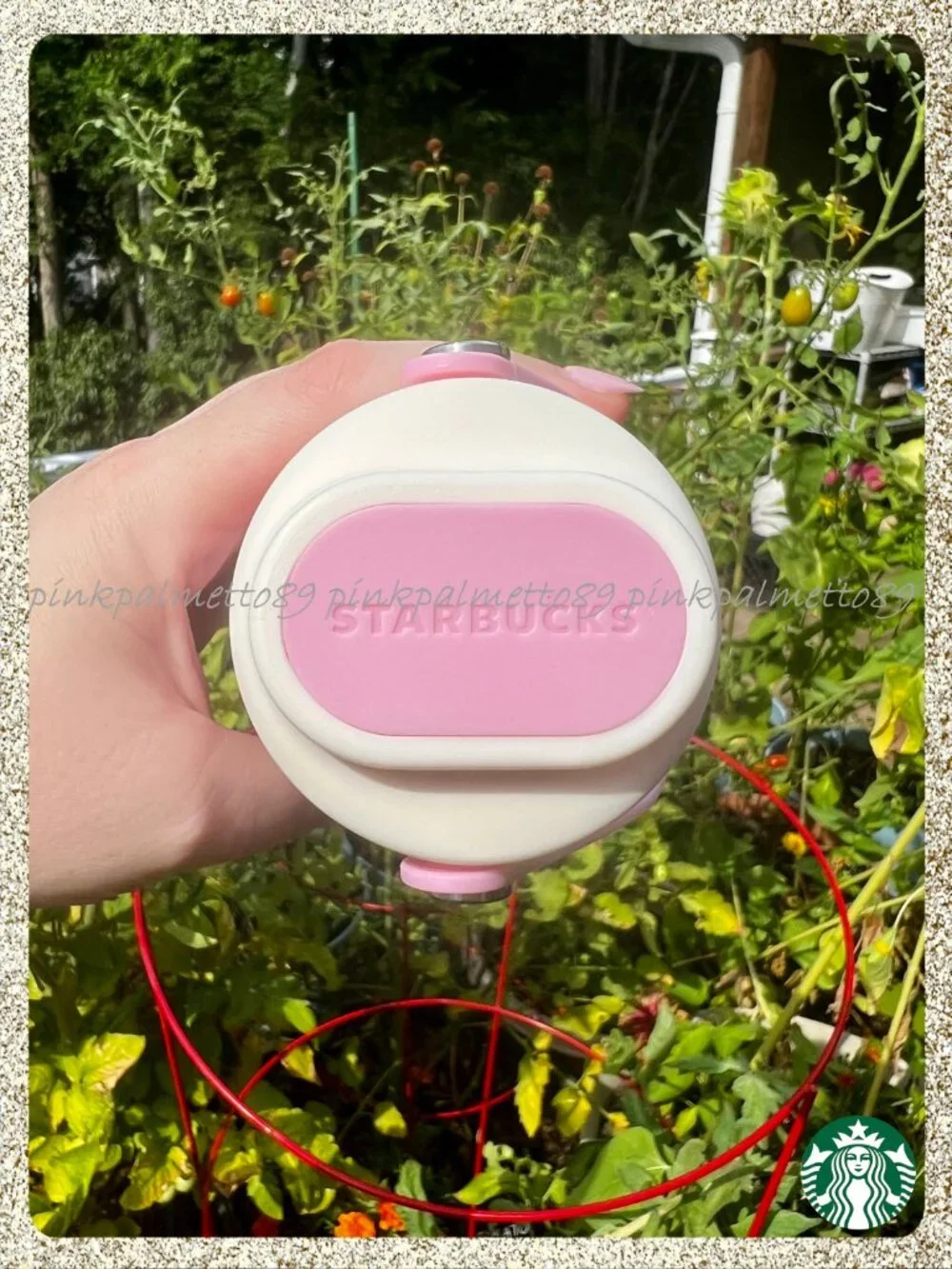 Starbucks ✨🍓 nwt